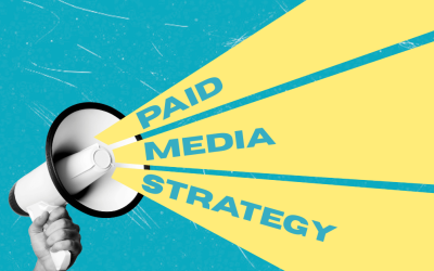 Paid Media Strategy in a Healthy Marketing Mix